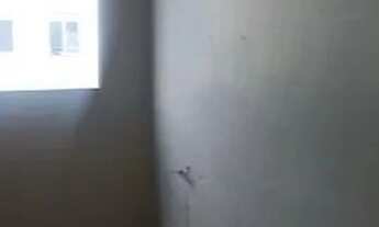 Imagem 2: Ap 2 dormitorios vaga coberta privativa