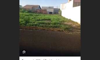 Imagem: Oportunidade no centro de coroaci