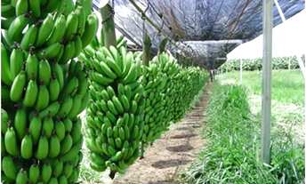 Imagem: Ótima Oportunidade !