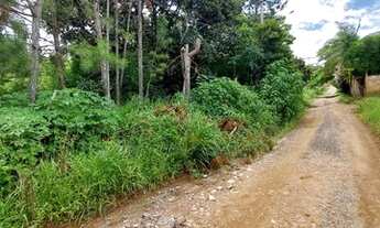 Imagem 7: Chacara 7.200 m², topografia plana, ótimo para chácaras, 75 km da Capital, F. Dias, B.Paul