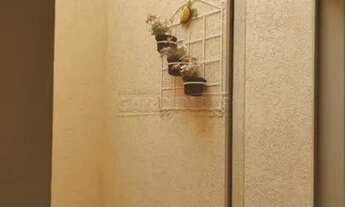 Imagem 7: Sao Carlos - Casa Padrão - Jardim Tangara