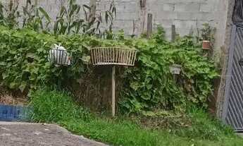 Imagem: Casa em rua pública