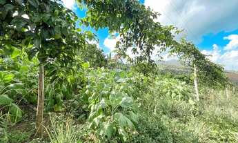 Imagem 5: Sitio de 10 tarefas a venda na região da Várzea Valença BA!