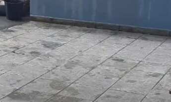 Imagem 2: Aluguel Casa com 2 dormitórios