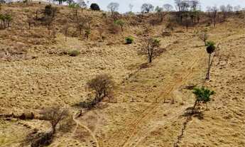 Imagem 7: Fazenda de 70 alqueires em Pontalina go