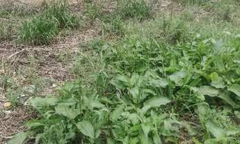 Imagem 2: Terreno para construir , 150m2