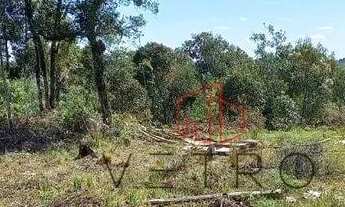 Imagem 5: Terreno à Venda em Canela!