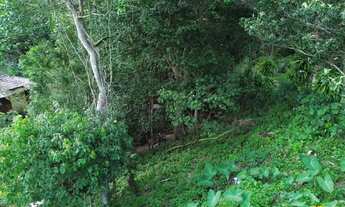 Imagem 5: Terreno Residencial em Sambaqui