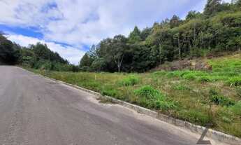 Imagem 2: Terreno Bairro Desvio Rizzo