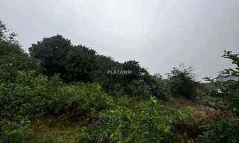 Imagem 7: Imóvel no Vista Alegre, Ivoti