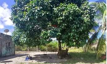 Imagem 6: Chácara em Piaçabuçu a venda