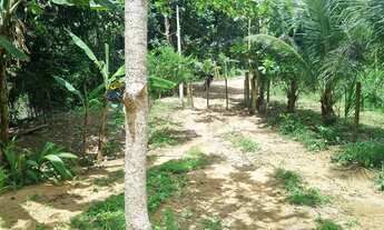 Imagem 3: Chacara 6.000 mt com rio