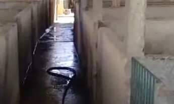 Imagem 2: Sitio 5 hectares Irrigação subterrânea.. Poço Vazão 70.000 L/Hora.