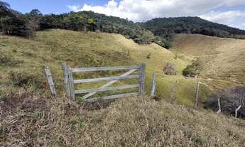 Imagem 4: Ótimo terreno 8 hectares