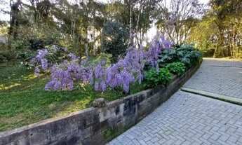 Imagem 2: Chácara em Sjp na continuação do caminho do vinho, Troco, Vendo
