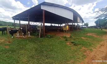 Imagem 6: Fazenda dupla aptidão comendador gomes