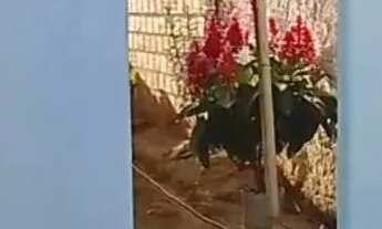 Imagem 2: Casa Em Ribeirópolis