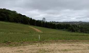 Imagem 3: Lote 500m² com Dupla Vantagem: 36x Sem Juros E Aceita Carro!