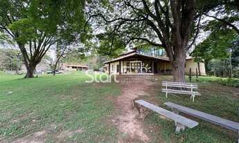 Imagem 6: Chácara - Tijuco das Telhas - Campinas