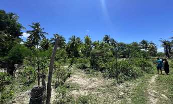 Imagem: Lotes disponíveis em lagoa redonda