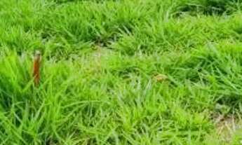 Imagem 6: TERRENO EM CONDOMÍNIO - PAISAGEM RENOIR - SP