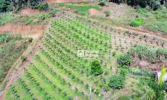 Imagem 3: Chácara à venda, 20000 m² por R$ 1.100.000,00 - Varginha - Nova Friburgo/RJ