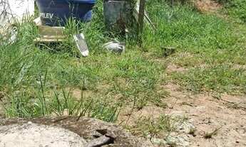 Imagem 6: Vendo Terreno com casas construídas