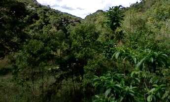 Imagem 4: Fazenda 15 Alqueires em Catuji/MG, a 60 km de Teófilo Otoni-MG