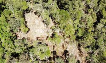 Imagem 7: Amplo Lote de Terreno à Venda no Colinas do Imbiri - Campos do Jordão/SP