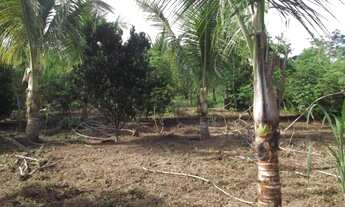 Imagem 6: Oportunidade de adquirir seu sitio em meio à natureza, Baldim (Temos varias opções)