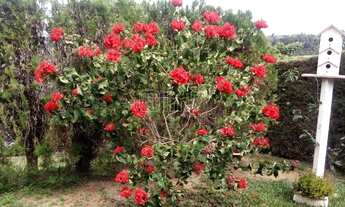 Imagem 5: Área de 30.000 m² com escritura em Pedra Azul na Rota do Carmo com Bosque Privativo