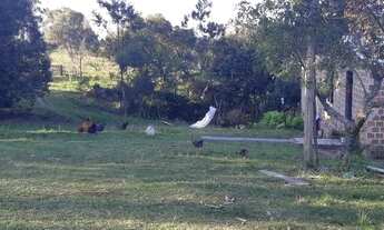 Imagem 4: Pinheiro Machado - Fazenda - Zona Rural