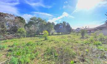 Imagem 4: Vendas Área São José Dos Pinhais PR