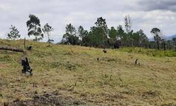 Imagem 6: Lote/Terreno. para venda tem 1000 metros quadrados em Centro - Mairiporã - São Paulo