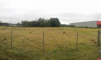 Imagem 2: Lote/terreno para alugar em Porto Alegre