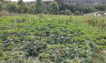 Imagem 6: Terreno para Venda, 54.604,52 m², Rio Negrinho / SC, bairro São Pedro