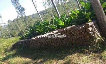 Imagem 6: Sítio com 1 dormitório à venda, 90000 m² por R$ 400.000 - Timbé do Sul/Santa Catarina