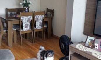 Imagem 6: São Paulo - Apartamento Padrão - Vila Ema