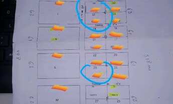 Imagem: Terreno na estrada Alter do Chao - Pindobal