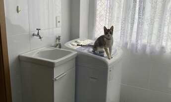 Imagem 11: Apartamento com 2 dormitórios à venda em Belo Horizonte