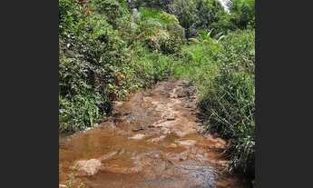 Imagem 2: Vendo Fazenda Em Jaguaripe