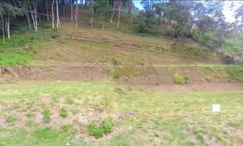 Imagem 4: Lotes no Cônego - Excelente topografia e localização