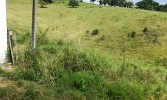 Imagem 5: VENDO FAZENDA DOS SONHOS EM<br>MAR VERMELHO