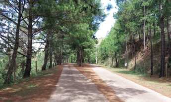 Imagem 2: Lote Village Sans Souci