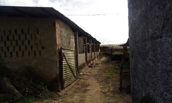 Imagem 5: Vendo Este Terreno