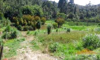 Imagem 4: Lindo sítio em bairro de fácil acesso