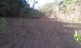 Imagem 7: Sítio chácara Chácara com venda por R$160.000