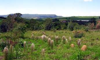 Imagem 3: ÁREA INDUSTRIAL em CABREUVA - SP, BAIRRO DO PINHAL