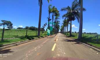 Imagem: Fazenda em Avelinópolis