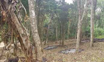 Imagem 7: Terreno semi plano em Teresópolis Granja Mafra